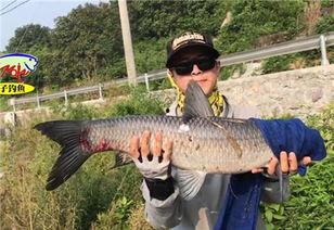 青鱼视频国产3,探索青春光影下的情感世界